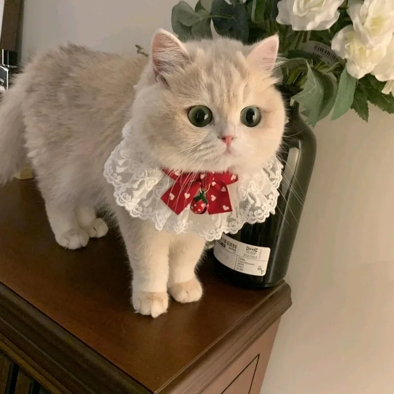 Cat Dog Collar Silk Wedding Cat Puppy Ribbon Scarf Princess Style Lace Collar Bell Necklace Bib New Kitten Accessories Bowtie