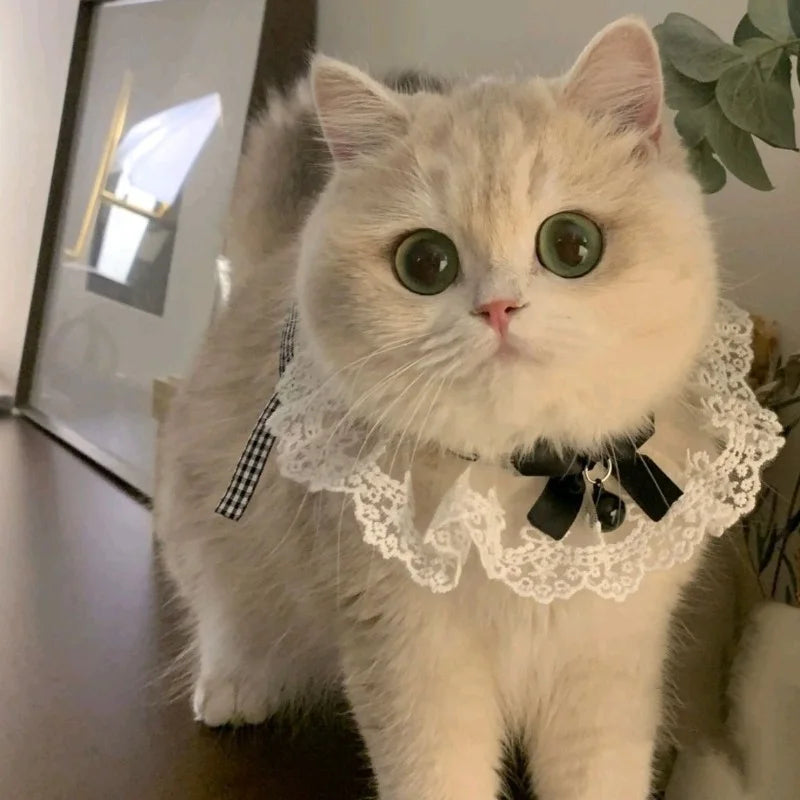 Cat Dog Collar Silk Wedding Cat Puppy Ribbon Scarf Princess Style Lace Collar Bell Necklace Bib New Kitten Accessories Bowtie