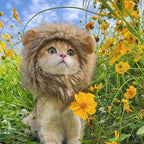 Süße Katzenmütze Löwen-Kopfbedeckung Elastisch Herbst Winter Haustiermütze Welpen Kätzchen Mütze Party Fotoshooting Requisiten Dekoration Katzenzubehör