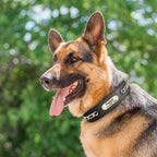 Hundehalsband aus echtem Leder für große Hunde, ID-Halsband mit kostenloser Namensgravur für kleine, mittlere und große Hunde, Metall-Design
