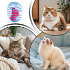 Cat Spiral Toy Interactive Fun Colorful Stretchable Spring Indoor Cat Toys for Home Outdoor Play Training Exercise Mental