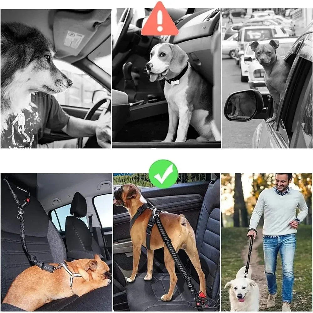 2-si-1 İt Avtomobil Təhlükəsizlik Kəməri Başlıq Bağlayıcı Tənzimlənən Reflektiv Ev Heyvanı Təhlükəsizlik Kəməri Klip Tok Bağlama Böyük Orta Kiçik İtlər Üçün