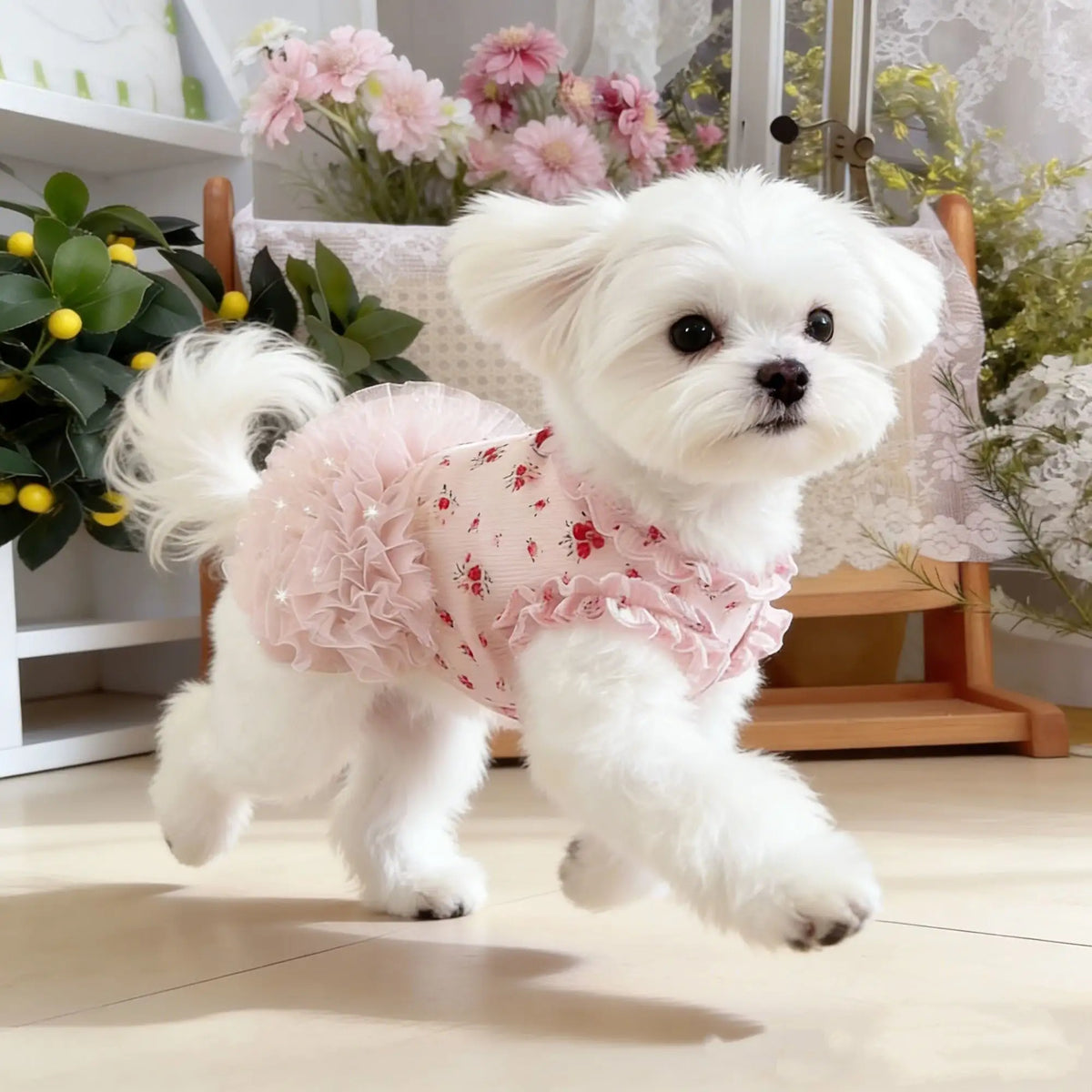 New Pet Clothes Thin Dog Summer Cat Dog Clothes Skirt Lace Floral Pieces Breathable Skin Friendly Dog Teddy Beard Corgi