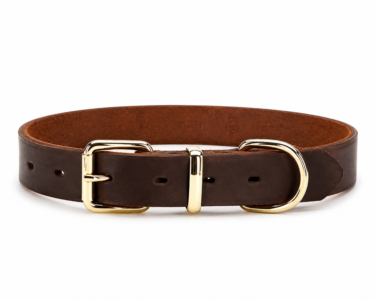 Genuine Leather Dog Collar Real Leather D Ring Dog Collar with Premium Golden Alloy Buckle Adjustable Small Large Dogs Collars